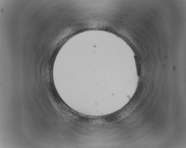 X0000067520587200605051857