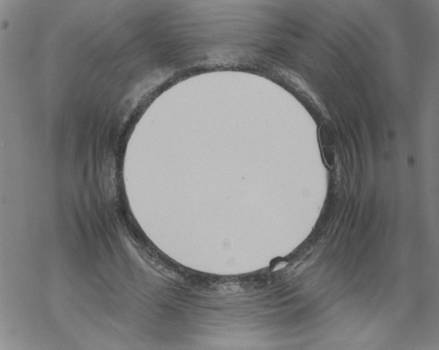 X0000067520588200605051856