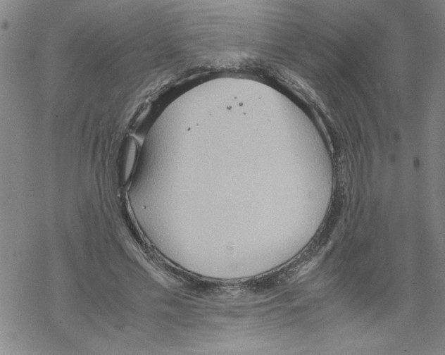 X0000067520589200605051856