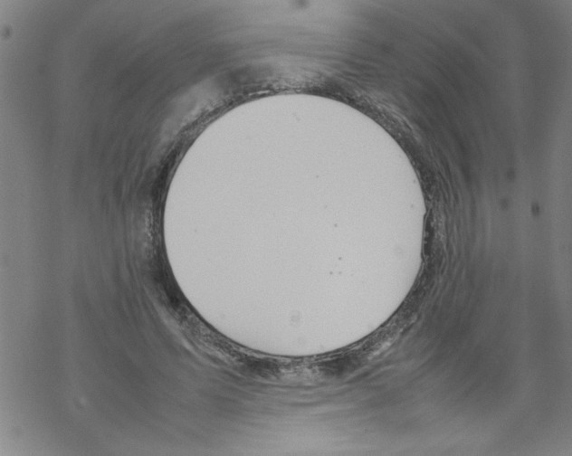 X0000067520591200605051856