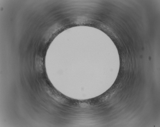 X0000067520592200605051856