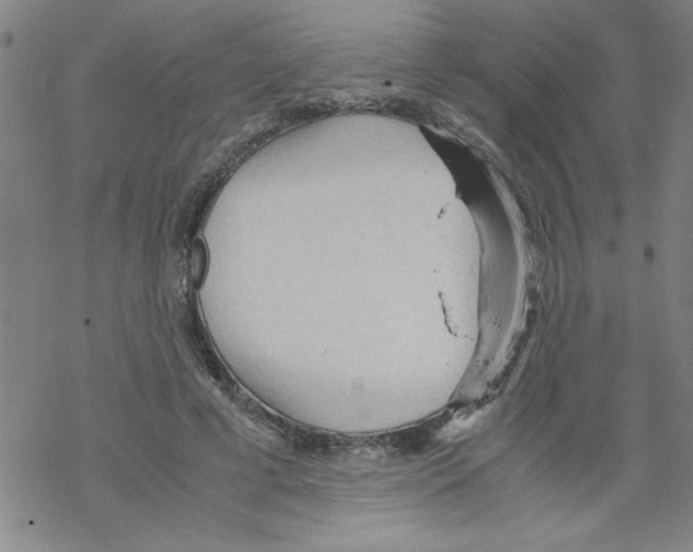 X0000067520593200605051856