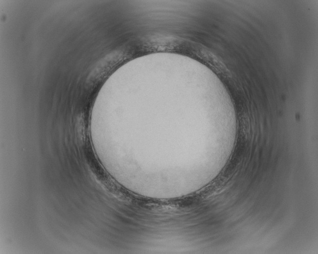 X0000067520594200605051856