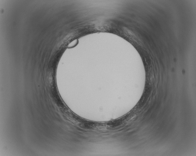 X0000067520595200605051856