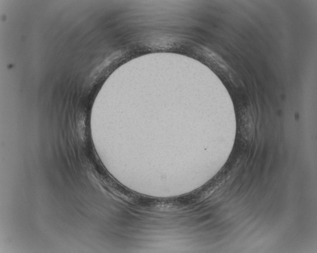 X0000067520596200605051856