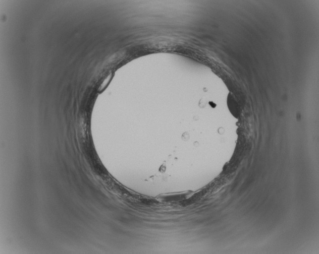 X0000067520597200605051856