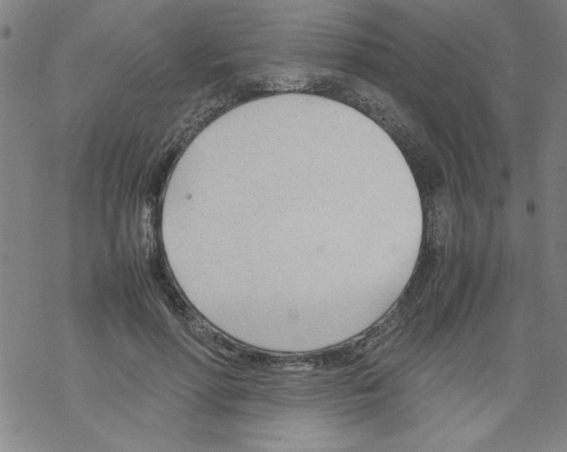 X0000067520598200605051856