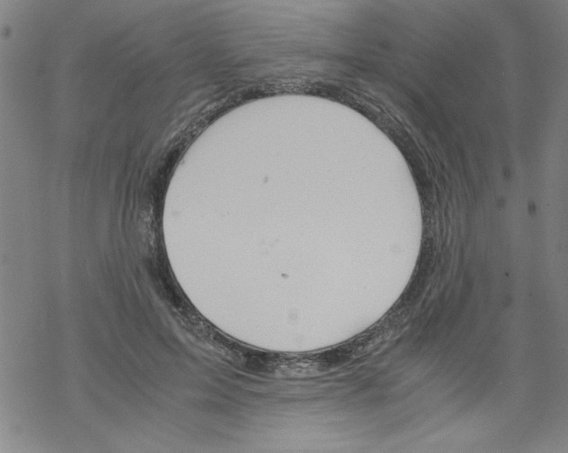 X0000067520599200605051856