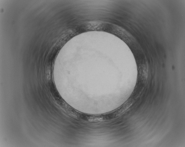 X0000067520602200605051856