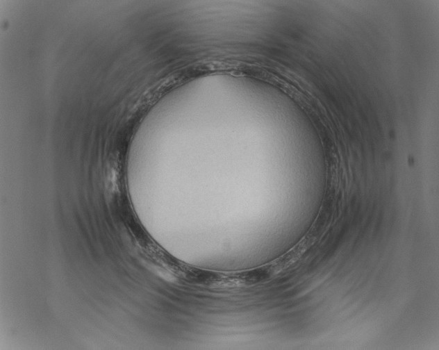 X0000067520604200605051856