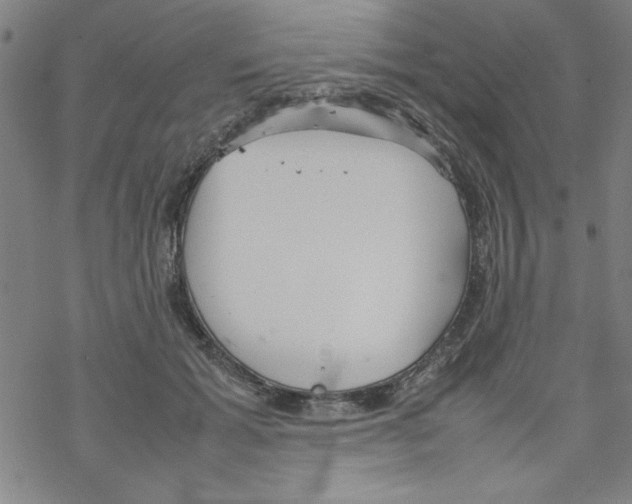 X0000067520605200605051856