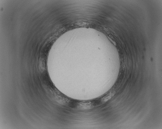 X0000067520606200605051856