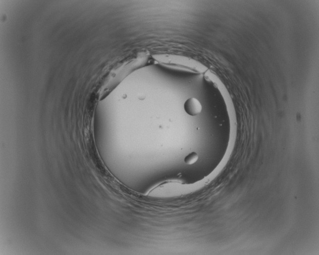 X0000067520607200605051856