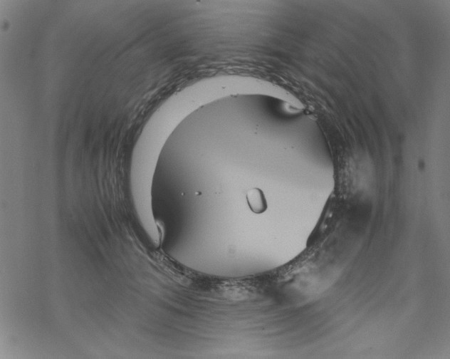 X0000067520608200605051856