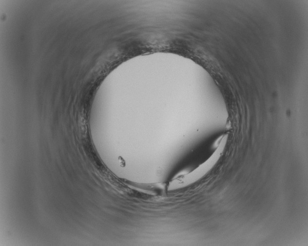 X0000067520609200605051856