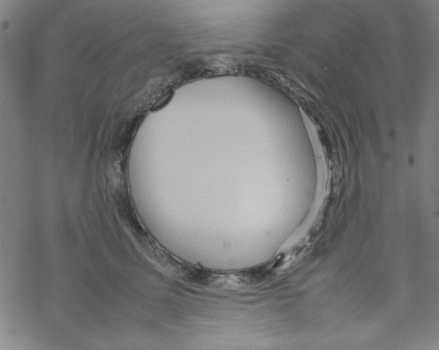 X0000067520611200605051856