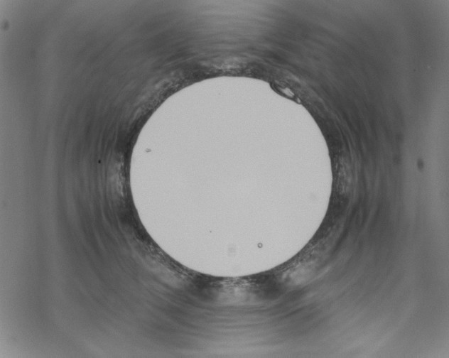 X0000067520612200605051856