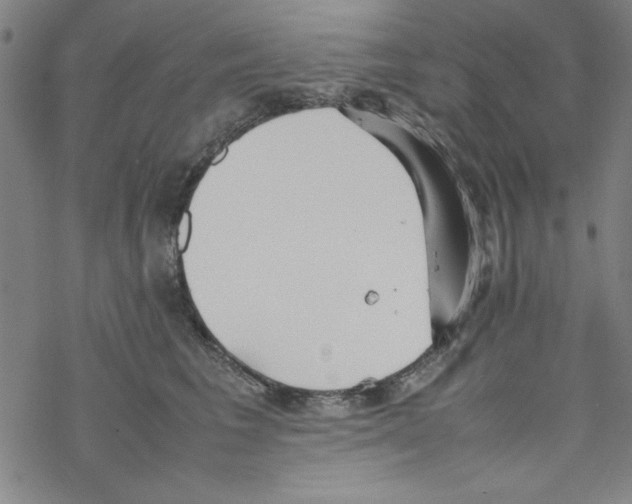 X0000067520613200605051856