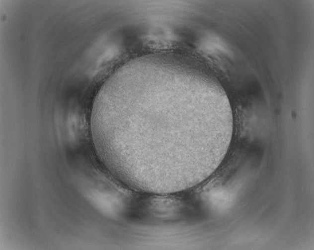 X0000067520614200605051856