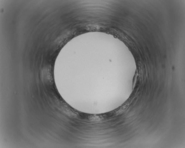 X0000067520616200605051856