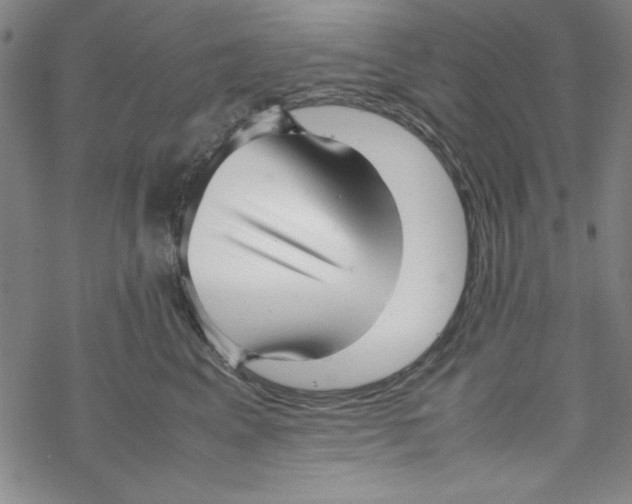 X0000067520617200605051856