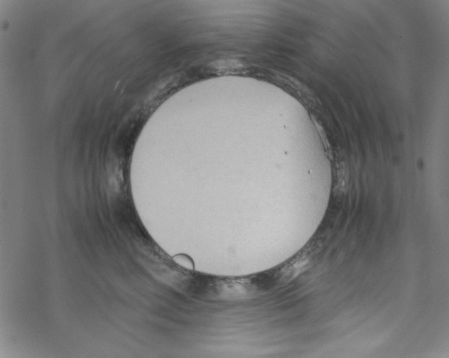 X0000067520618200605051856