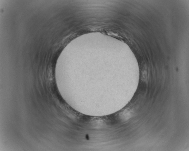 X0000067520620200605051856