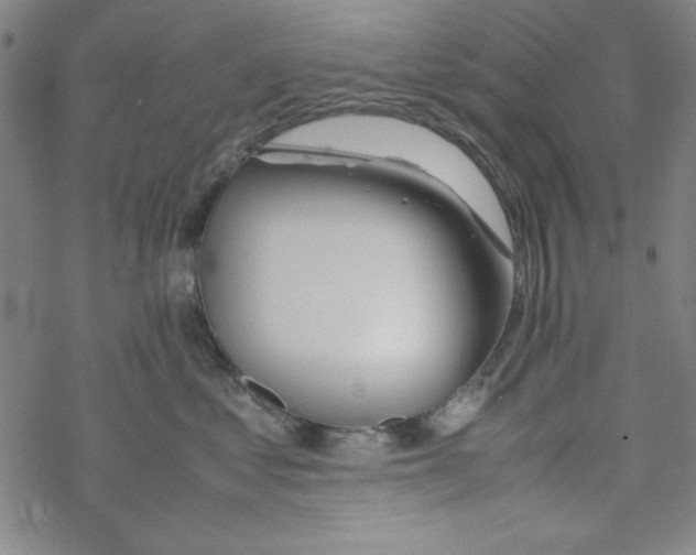 X0000067520621200605051856