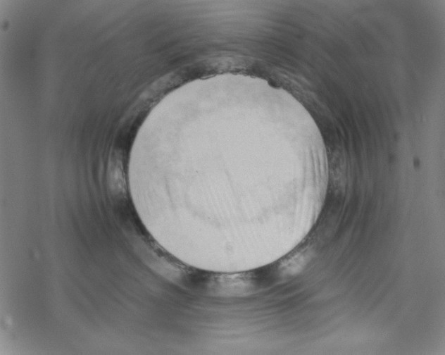 X0000067520622200605051856