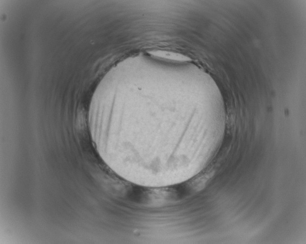 X0000067520623200605051856