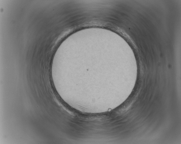 X0000067520625200605051855