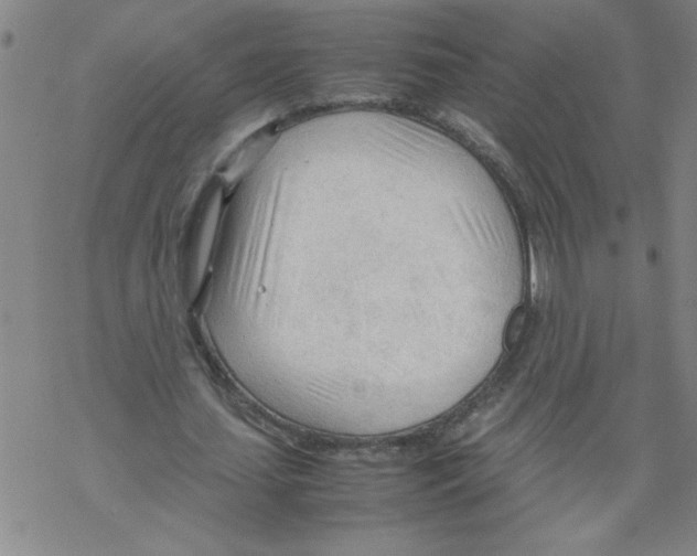 X0000067520627200605051855