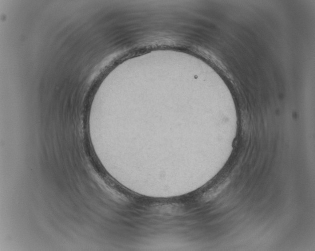 X0000067520629200605051855