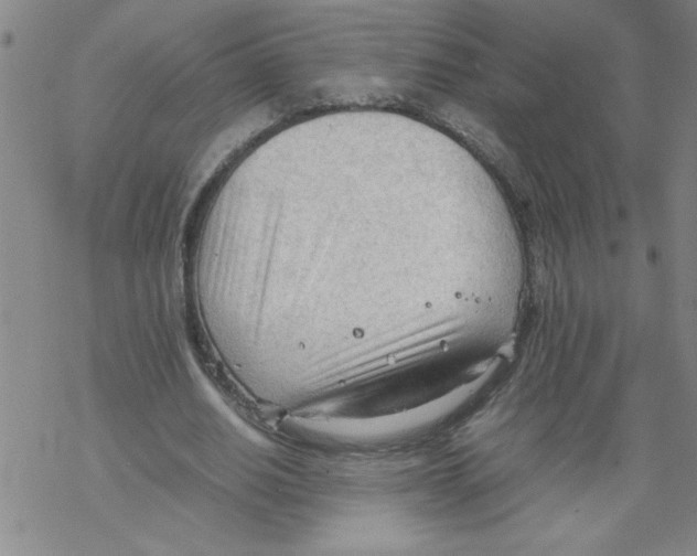 X0000067520630200605051855