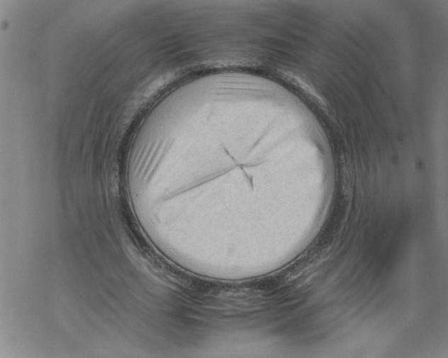 X0000067520631200605051855