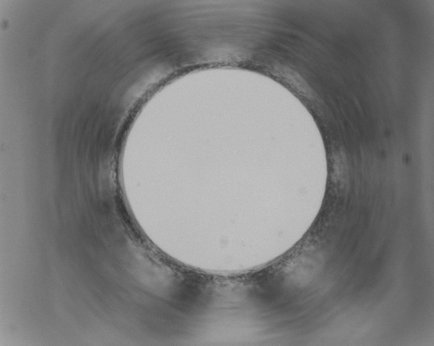 X0000067520632200605051855