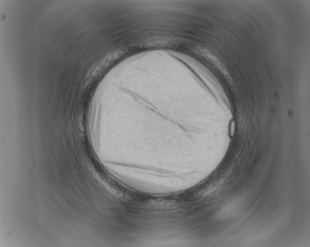 X0000067520633200605051855