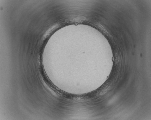 X0000067520634200605051855