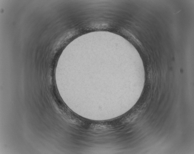 X0000067520635200605051855