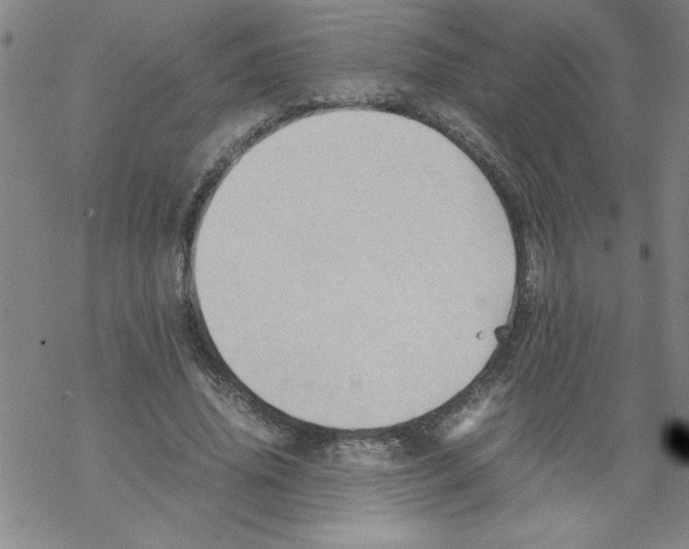 X0000067520636200605051855