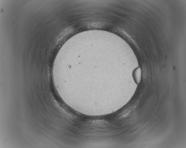 X0000067520637200605051855