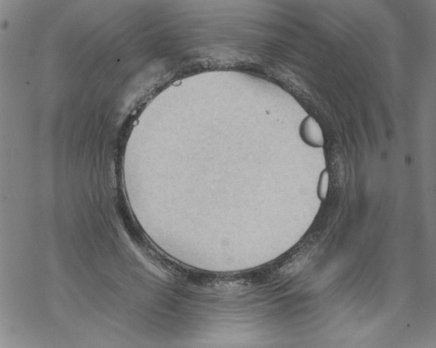 X0000067520638200605051855