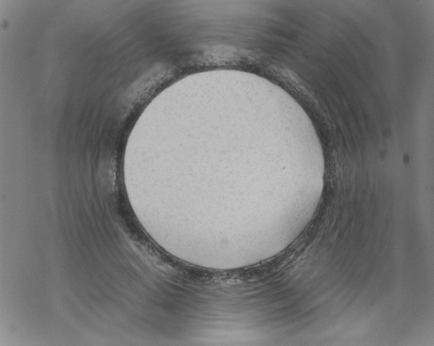 X0000067520640200605051855