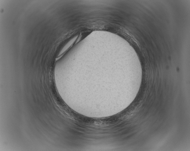 X0000067520641200605051855