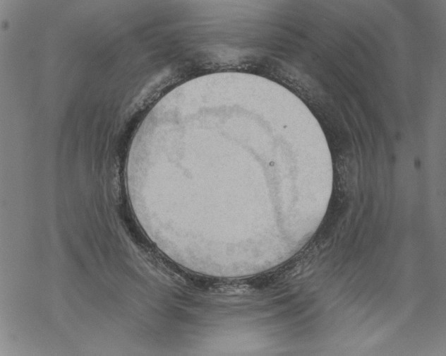 X0000067520642200605051855