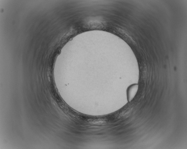 X0000067520643200605051855