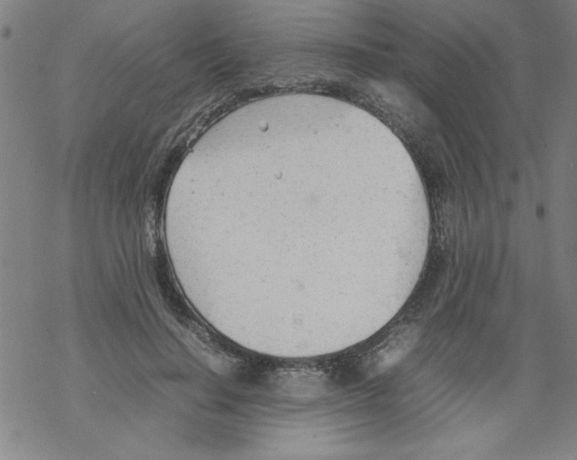 X0000067520644200605051855