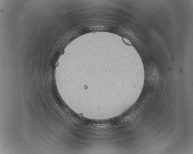 X0000067520645200605051855