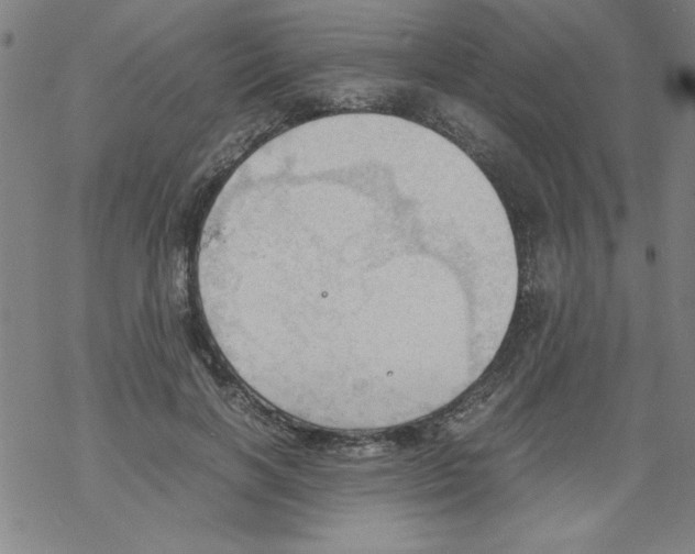 X0000067520646200605051855