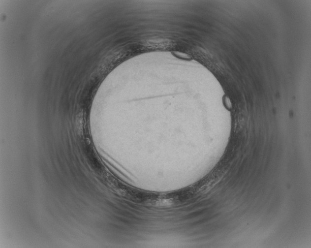 X0000067520647200605051855